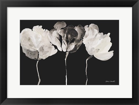 Framed Trio in Light on Black Print