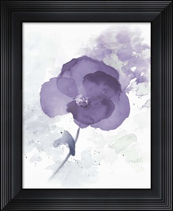 Framed Translucent Mauve Poppy I Print