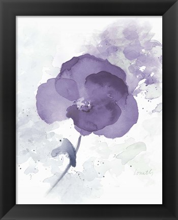 Framed Translucent Mauve Poppy I Print