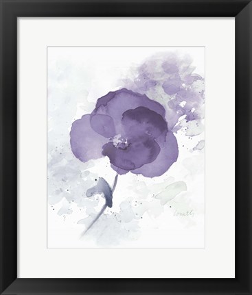 Framed Translucent Mauve Poppy I Print