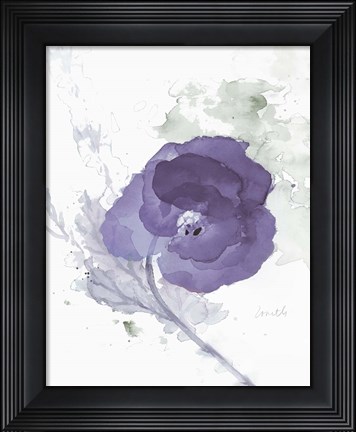 Framed Translucent Mauve Poppy II Print