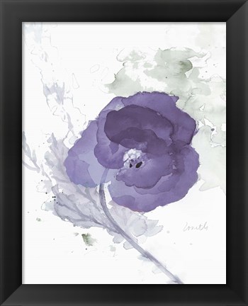 Framed Translucent Mauve Poppy II Print