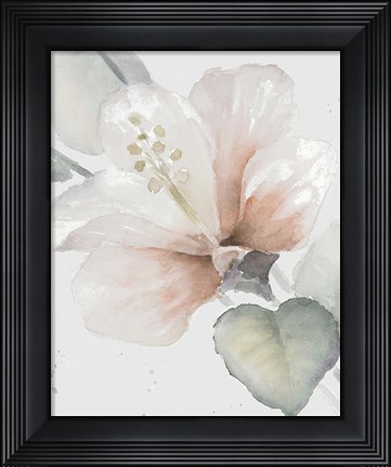 Framed Neutral Hibiscus II Print