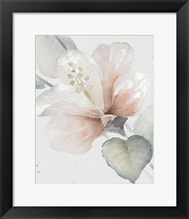 Framed Neutral Hibiscus II Print