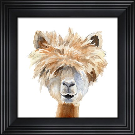 Framed Llama with Bangs Print