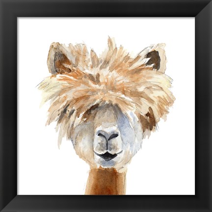 Framed Llama with Bangs Print