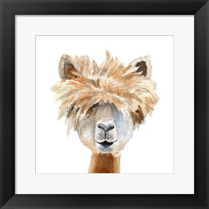 Framed Llama with Bangs Print
