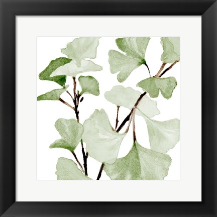 Framed Mint Ginko Stems I Print