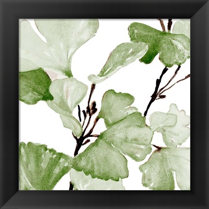 Framed Mint Ginko Stems II Print