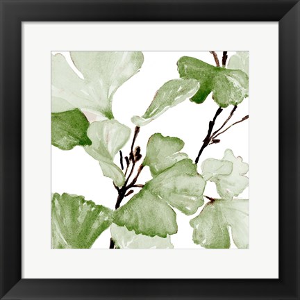 Framed Mint Ginko Stems II Print