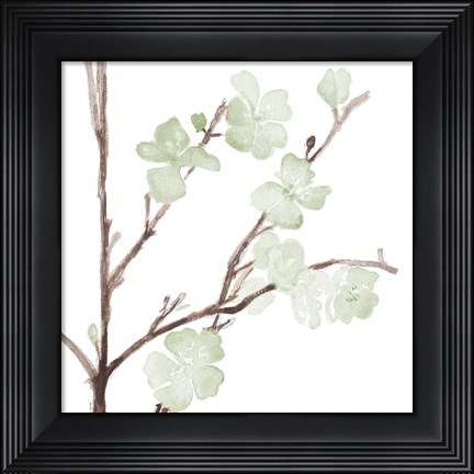 Framed Mint Bloom Stems Print