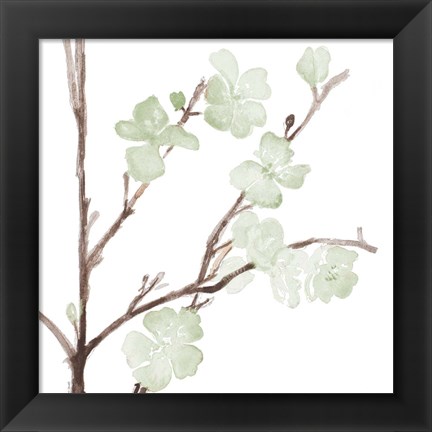 Framed Mint Bloom Stems Print