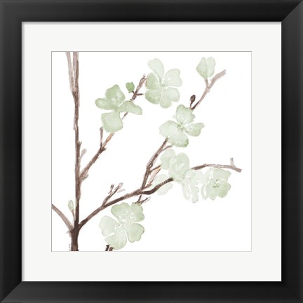 Framed Mint Bloom Stems Print