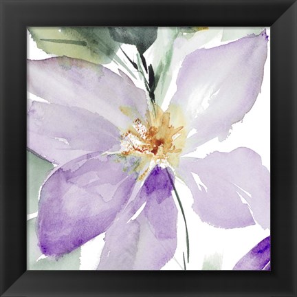 Framed Clematis in Purple Shades I Print