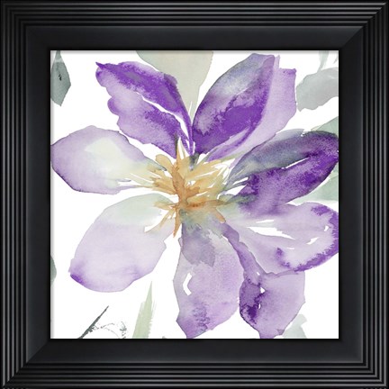 Framed Clematis in Purple Shades II Print