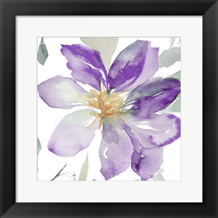 Framed Clematis in Purple Shades II Print