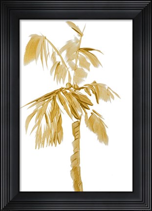 Framed Gold Palms IV Print