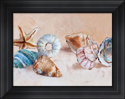 Framed Shells on the Shore Rectangle Print