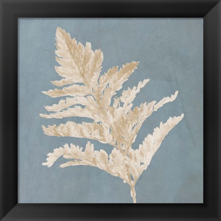 Framed Tan Leaf on Blue Square II Print