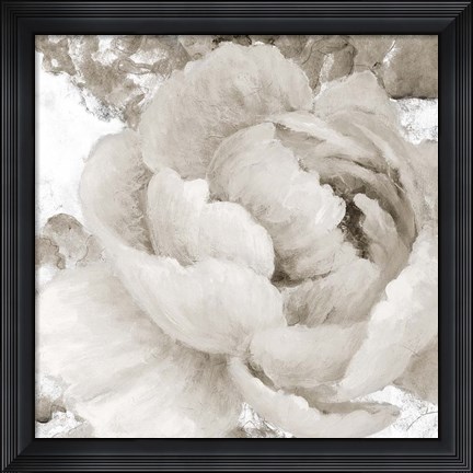 Framed Light Grey Flowers II Print