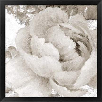 Framed Light Grey Flowers II Print