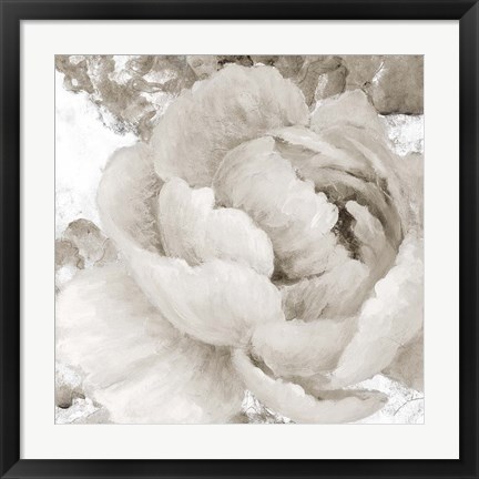 Framed Light Grey Flowers II Print