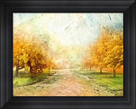 Framed Oak Path Print