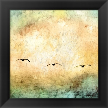 Framed Seagulls in the Sky Square III Print