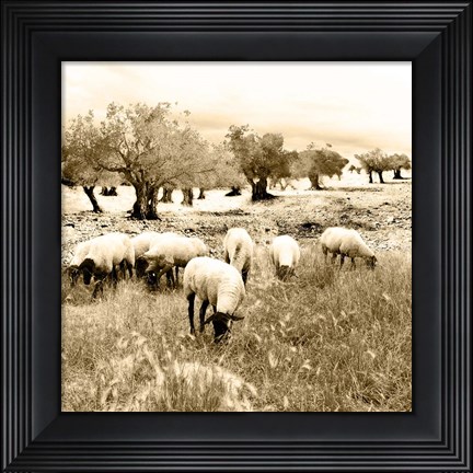 Framed Out In The Fields Print