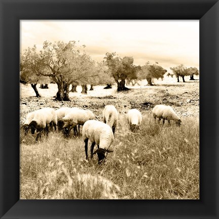 Framed Out In The Fields Print