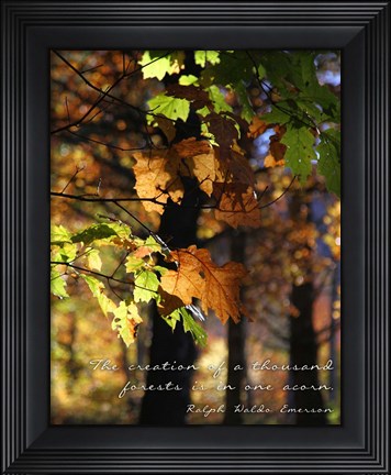 Framed Thousand Forests Print