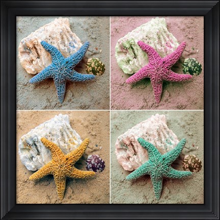 Framed Colorful Starfish Print