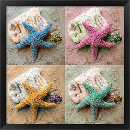 Framed Colorful Starfish Print