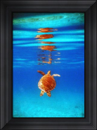 Framed View from Below II Print
