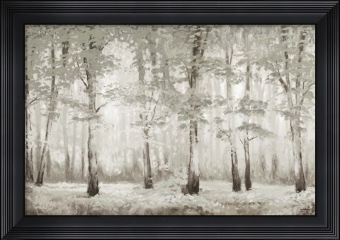 Framed Misty Woodland Glow Print
