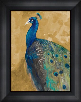 Framed Royal Plume on Gold Print