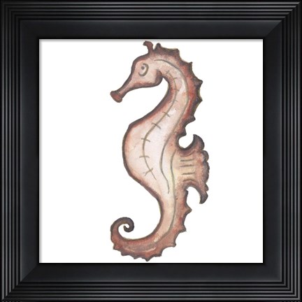 Framed Coastal Icon Coral I Print