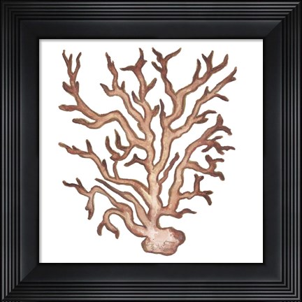 Framed Coastal Icon Coral III Print