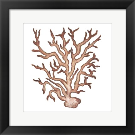 Framed Coastal Icon Coral III Print