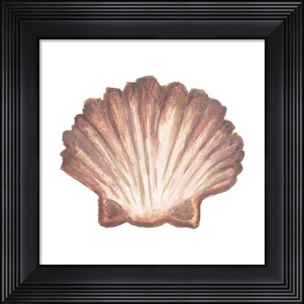 Framed Coastal Icon Coral VI Print