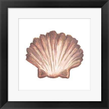 Framed Coastal Icon Coral VI Print