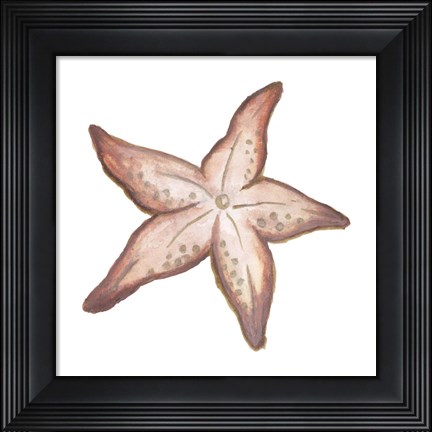 Framed Coastal Icon Coral VII Print