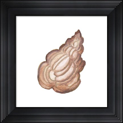 Framed Coastal Icon Coral IX Print