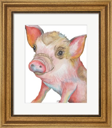 Framed Pig II Print