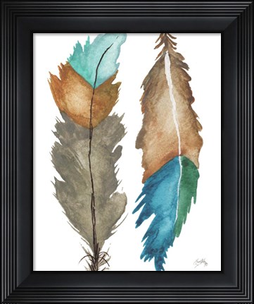Framed Decorative Feathers Print