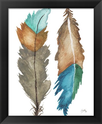 Framed Decorative Feathers Print