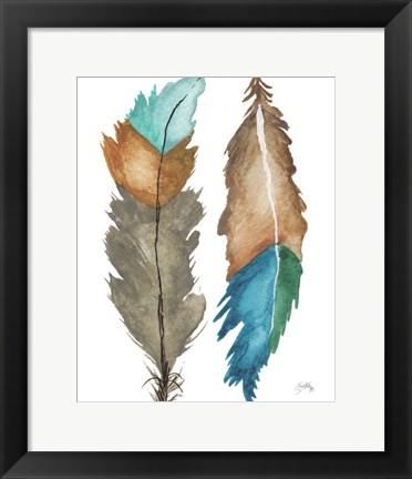 Framed Decorative Feathers Print