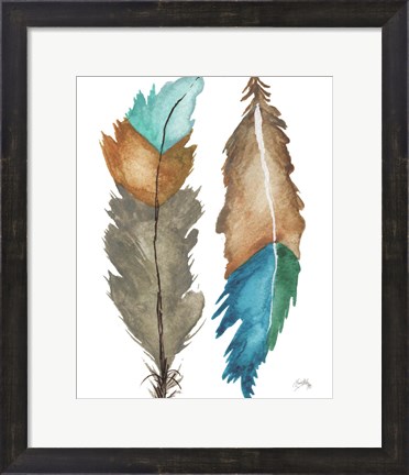 Framed Decorative Feathers Print