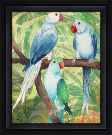 Framed Tropical Birds I Print