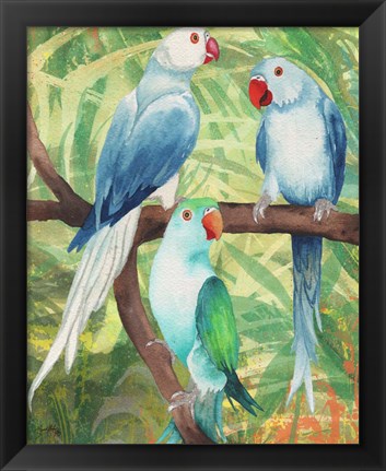 Framed Tropical Birds I Print